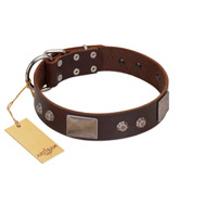"Stone Stars" Stylish Handmade FDT Artisan Brown Leather Riesenschnauzer Collar