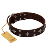 "Trendy Candy" FDT Artisan Brown Leather Riesenschnauzer Collar Adorned with Stars and Tiny Squares