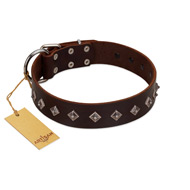 "Boundless Energy" Premium Quality FDT Artisan Brown Designer Leather Riesenschnauzer Collar with Small Pyramids