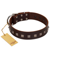 "Kingly Grace" FDT Artisan Brown Leather Riesenschnauzer Collar with Silver-like Dotted Studs