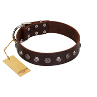 "Dark Chocolate" Handmade FDT Artisan Brown Leather Riesenschnauzer Collar with Studs