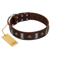 "War Chief" FDT Artisan Genuine Brown Leather Riesenschnauzer Collar with Skulls and Plates