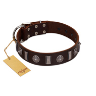 "Spiky Way" FDT Artisan Brown Leather Riesenschnauzer Collar with Silver-Like Decorations