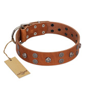 "Road Rider" FDT Artisan Tan Leather Riesenschnauzer Collar with Old Silver-like Skulls and Medallions