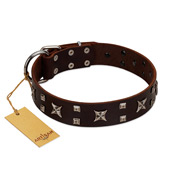 "Bigwig Woof" FDT Artisan Brown Leather Riesenschnauzer Collar with Chrome Plated Stars and Square Studs