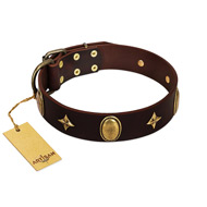 "Victory and Laurels" FDT Artisan Brown Leather Riesenschnauzer Collar with Ovals and Stars