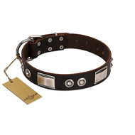 "Baller Status" FDT Artisan Brown Leather Riesenschnauzer Collar Adorned with a Set of Chrome Plated Studs and Plates