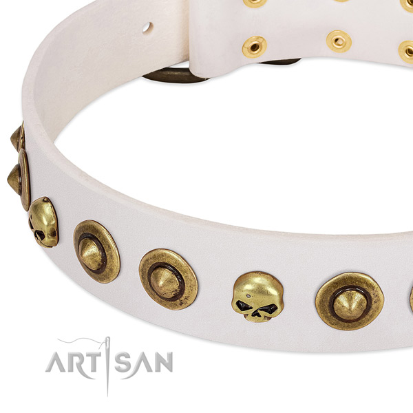 Trendy adornments on natural leather collar for your doggie