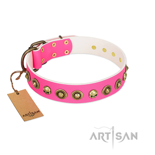 Top notch full grain leather dog collar with corrosion resistant decorations