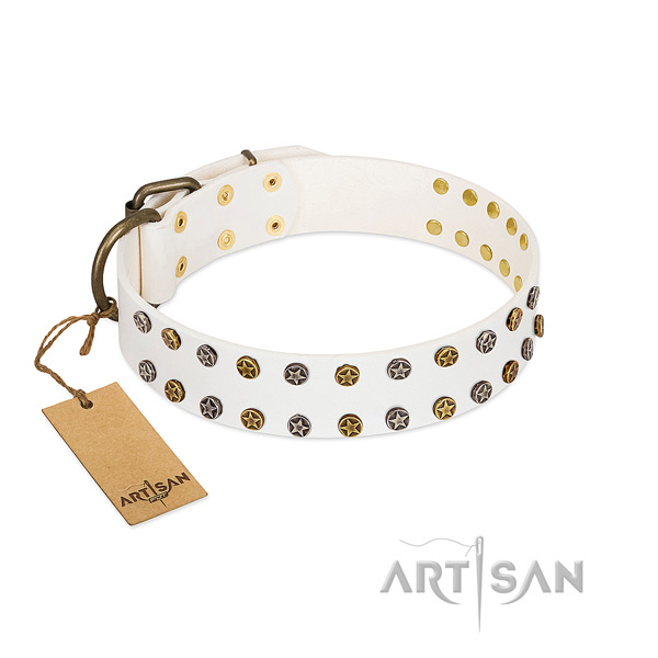 Significant full grain genuine leather dog collar with rust resistant decorations