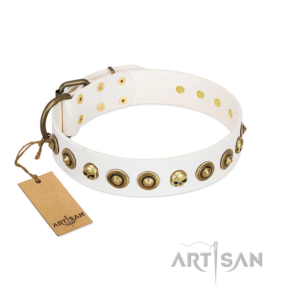 Full grain genuine leather collar with designer embellishments for your dog