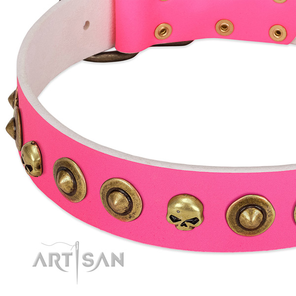 Significant adornments on natural leather collar for your dog