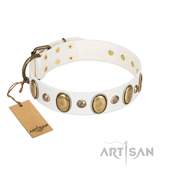 Genuine leather dog collar of gentle to touch material with designer adornments