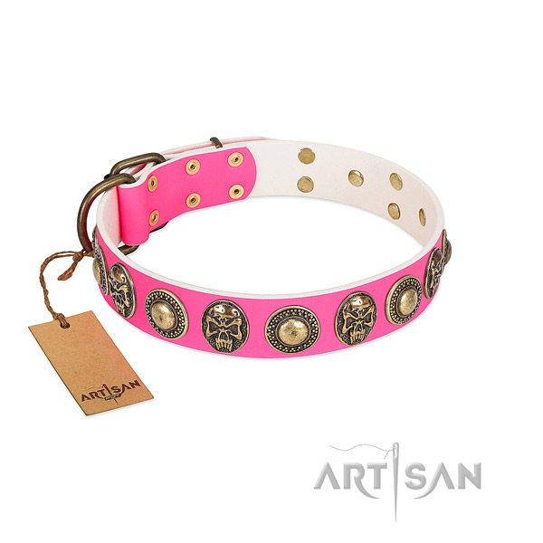 Adjustable full grain genuine leather dog collar for everyday walking your canine