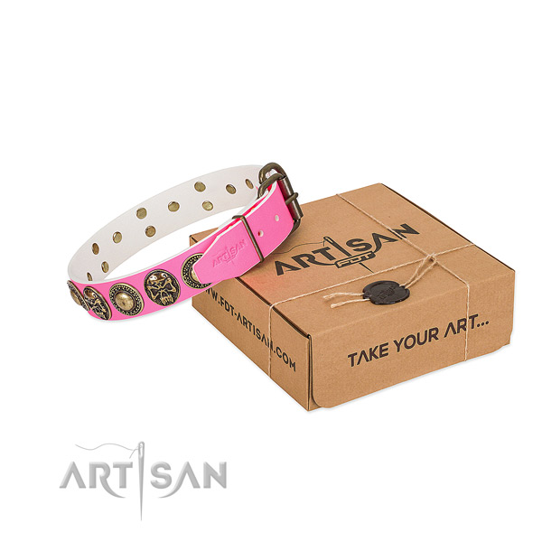 Durable buckle on dog collar for daily use