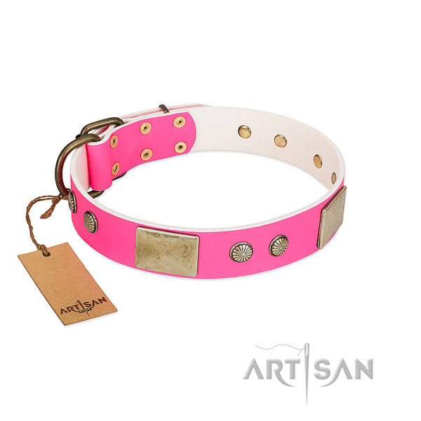 Easy to adjust full grain leather dog collar for basic training your pet