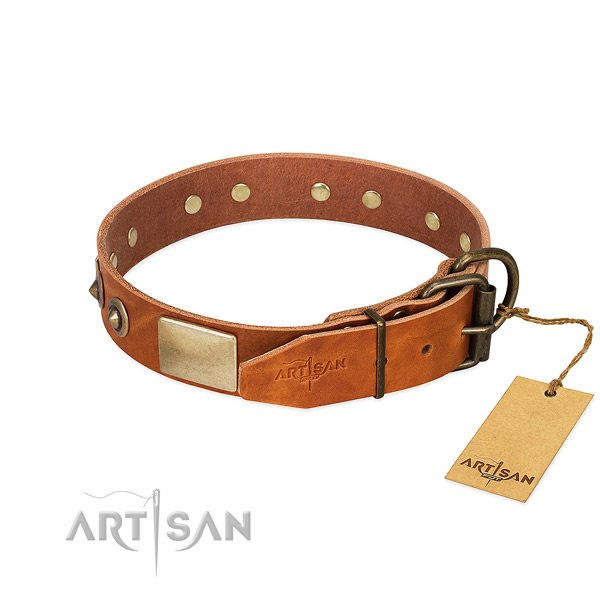 Rust-proof hardware on everyday use dog collar