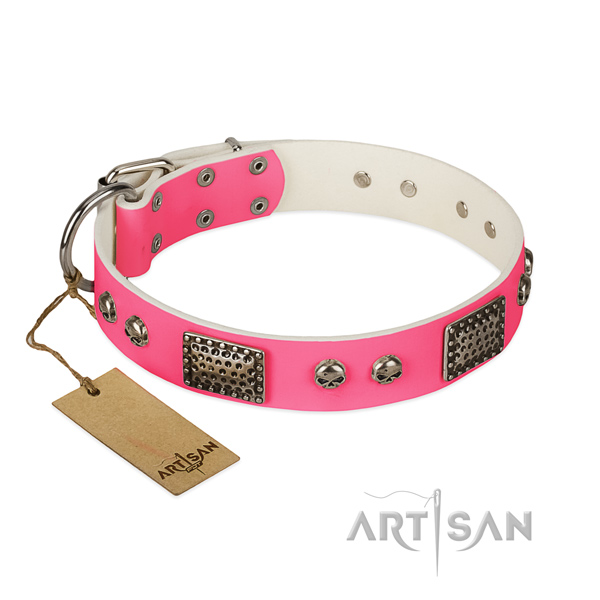 Easy wearing full grain genuine leather dog collar for daily walking your dog
