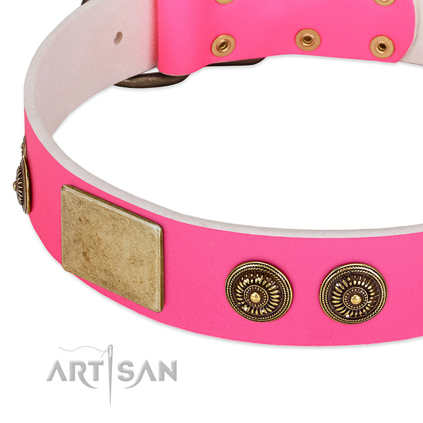 Top quality dog collar handcrafted for your impressive four-legged friend