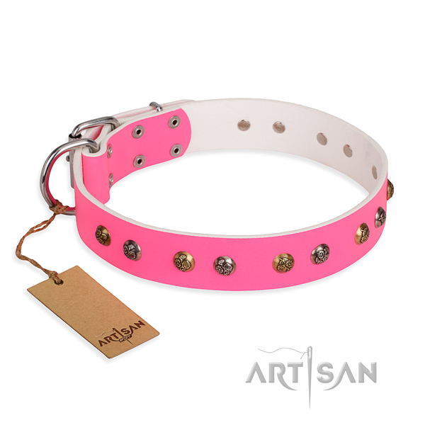 Fancy walking fine quality dog collar with rust resistant traditional buckle
