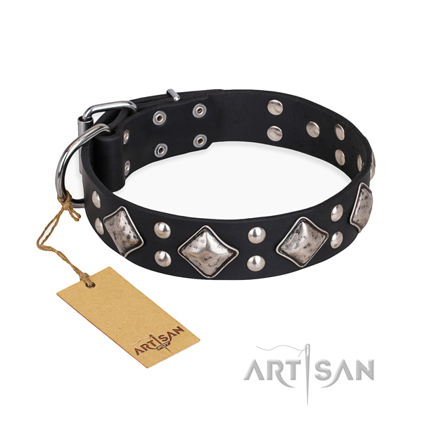Fancy walking fine quality dog collar with rust resistant traditional buckle