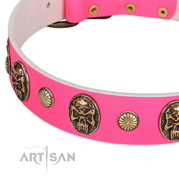 Reliable D-ring on leather dog collar for your four-legged friend
