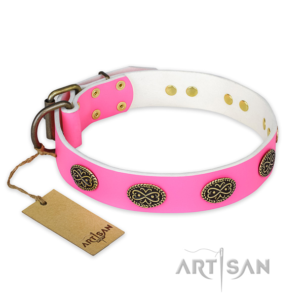 Stunning full grain genuine leather dog collar for stylish walking