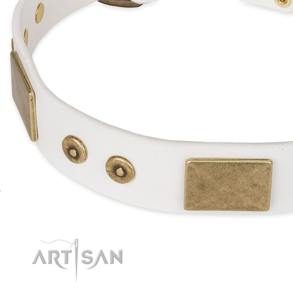 Corrosion resistant studs on natural leather dog collar for your canine