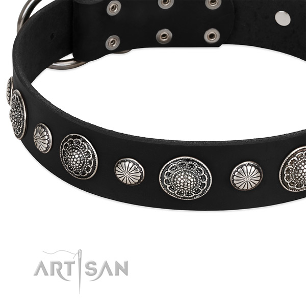 Natural leather collar with corrosion resistant hardware for your handsome four-legged friend