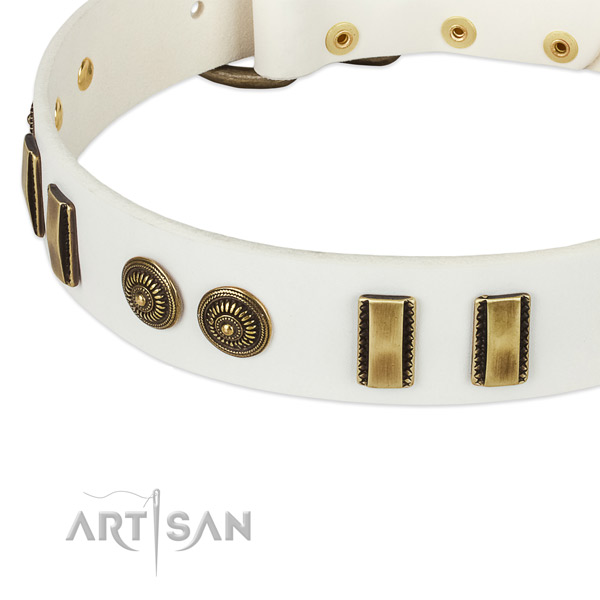 Reliable studs on genuine leather dog collar for your doggie