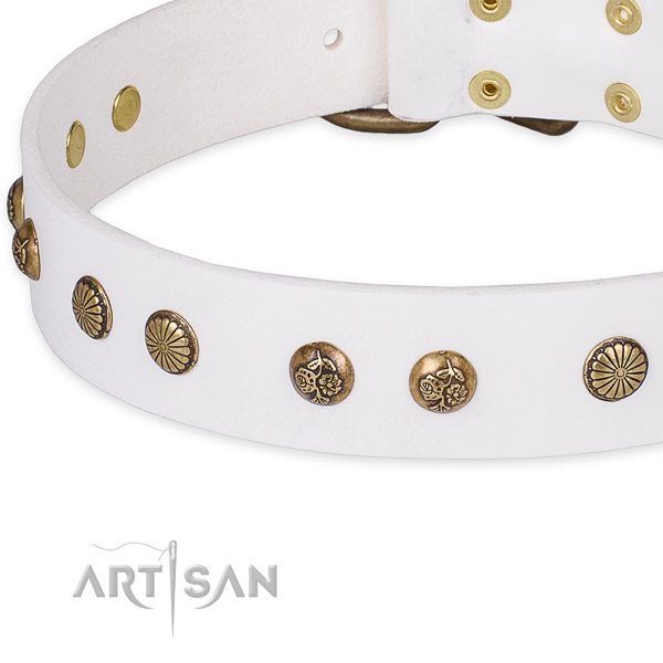 Full grain leather collar with reliable buckle for your attractive dog