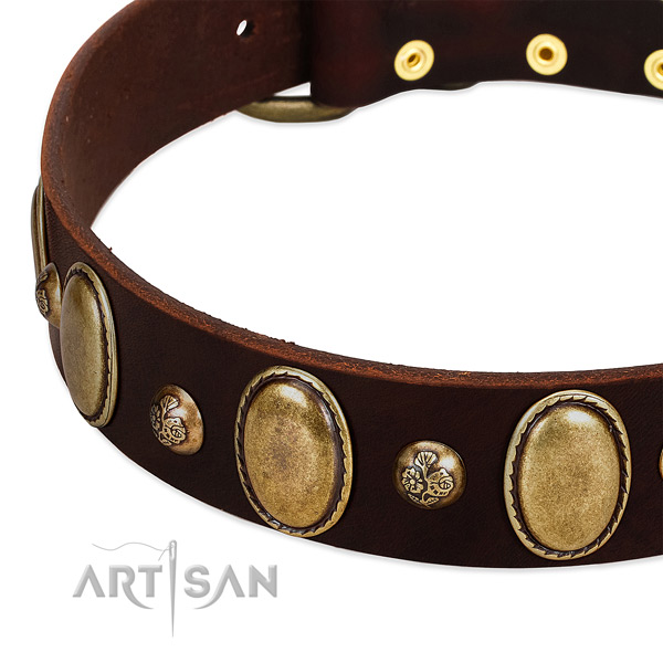 Leather dog collar with inimitable decorations