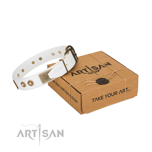 Rust-proof buckle on genuine leather dog collar for your four-legged friend