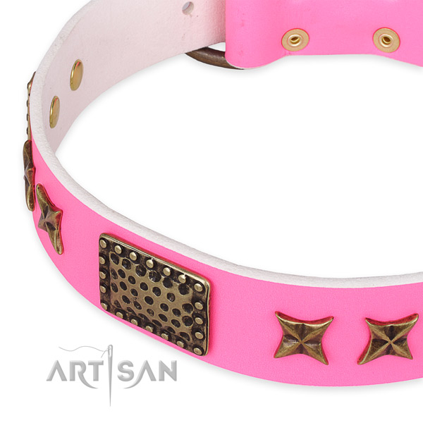 Genuine leather collar with strong D-ring for your handsome four-legged friend
