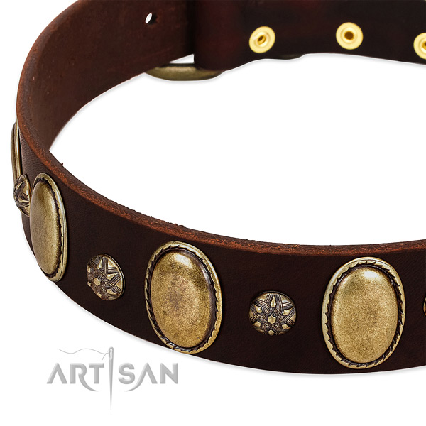 Daily walking soft full grain leather dog collar