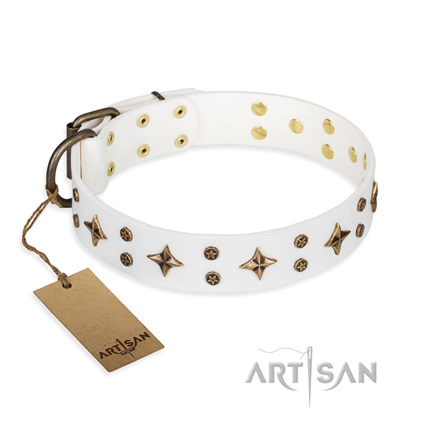 Comfy wearing dog collar of quality natural leather with decorations