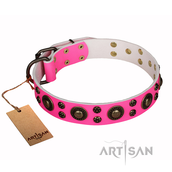 Comfortable wearing dog collar of reliable natural leather with studs