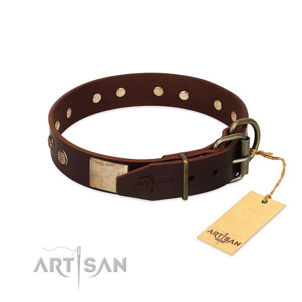 Durable buckle on everyday use dog collar