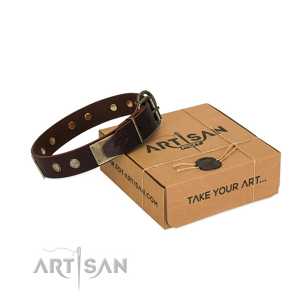 Rust resistant hardware on dog collar for comfy wearing