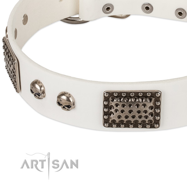 Rust-proof buckle on full grain natural leather dog collar for your dog