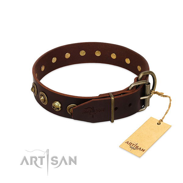 Leather collar with significant embellishments for your doggie
