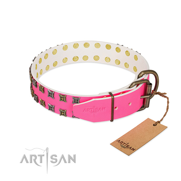 Full grain genuine leather collar with amazing adornments for your canine