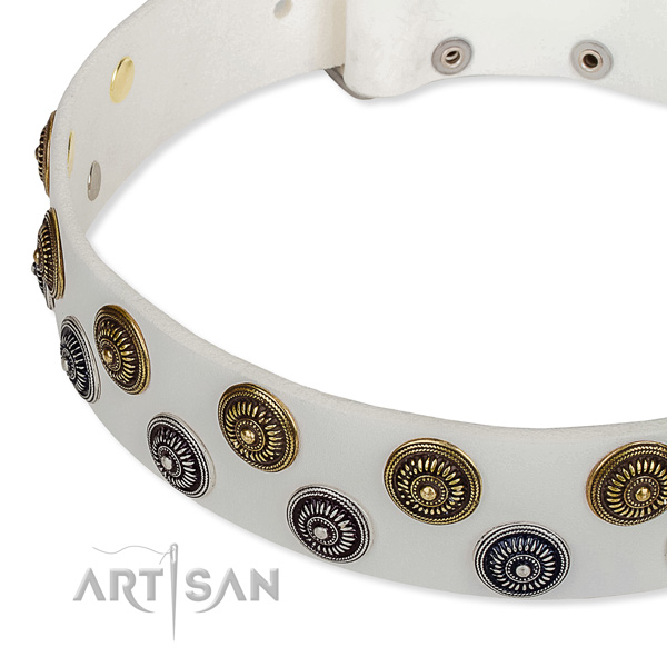 Daily walking decorated dog collar of fine quality full grain genuine leather
