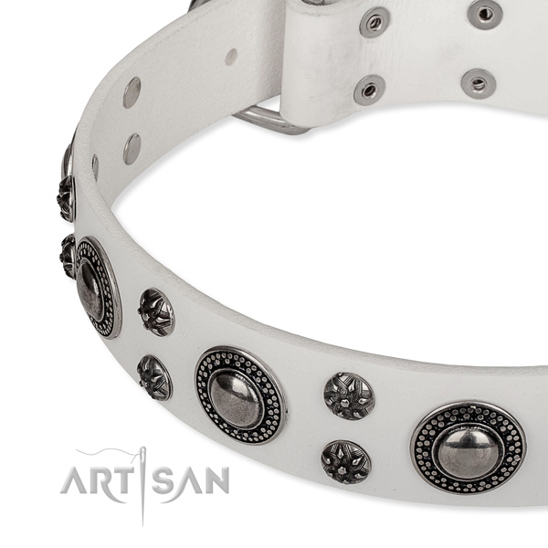 Stylish walking embellished dog collar of top notch full grain leather