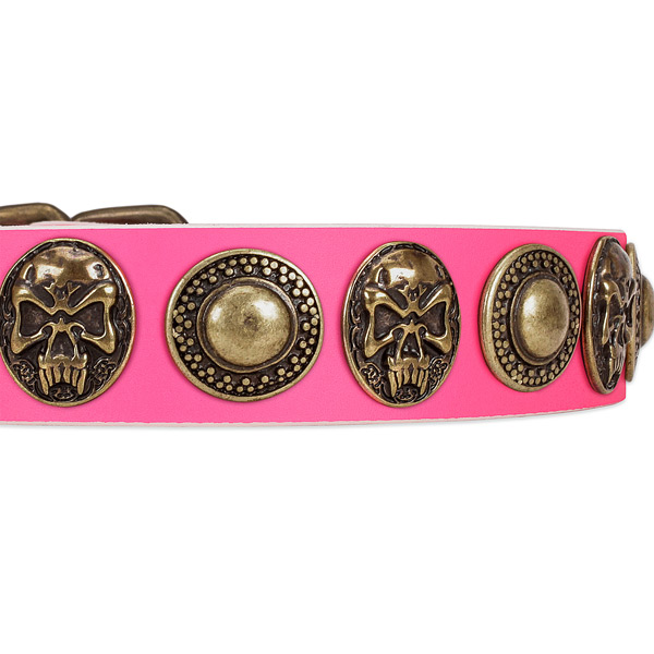 Corrosion proof hardware on genuine leather dog collar for your pet