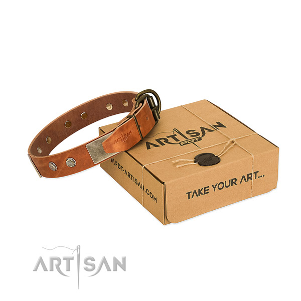 Corrosion resistant buckle on dog collar for walking