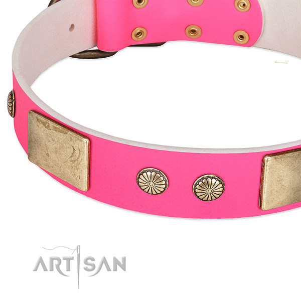 Corrosion resispinkt D-ring on genuine leather dog collar for your canine