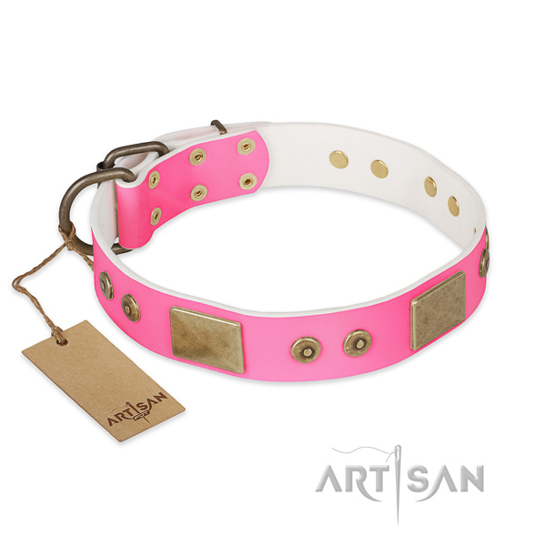 Adjustable full grain leather dog collar for basic training your doggie
