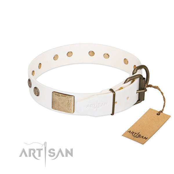 Reliable buckle on handy use dog collar