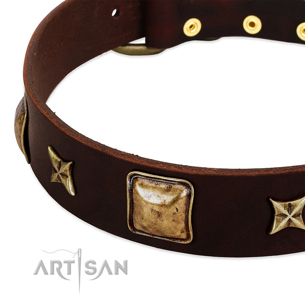 Durable D-ring on genuine leather dog collar for your pet